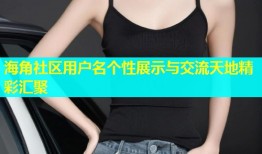 海角社区用户名个性展示与交流天地精彩汇聚