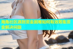 海角社区遇到资金困难如何有效筹集资金解决问题
