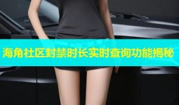 海角社区封禁时长实时查询功能揭秘