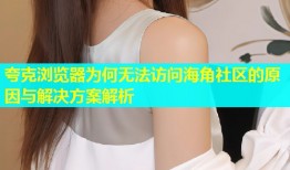 夸克浏览器为何无法访问海角社区的原因与解决方案解析