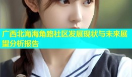 广西北海海角路社区发展现状与未来展望分析报告