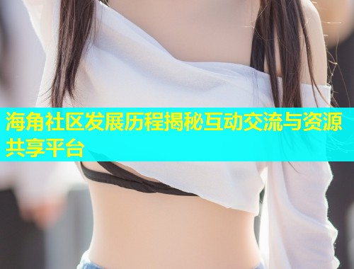 海角社区发展历程揭秘互动交流与资源共享平台