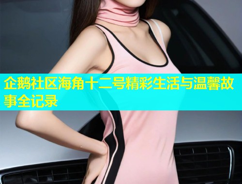 企鹅社区海角十二号精彩生活与温馨故事全记录