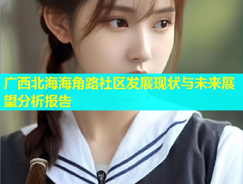 广西北海海角路社区发展现状与未来展望分析报告